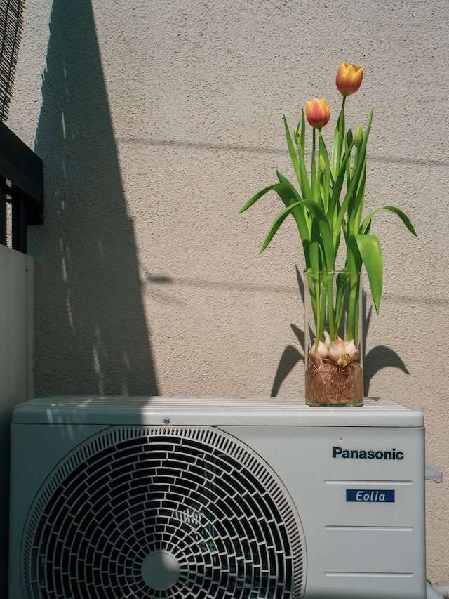 HVAC Contractor - HVAC unit with potted tulips sitting on top